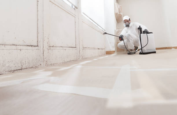 24/7 Emergency Mold Removal experts in Hermitage, PA
